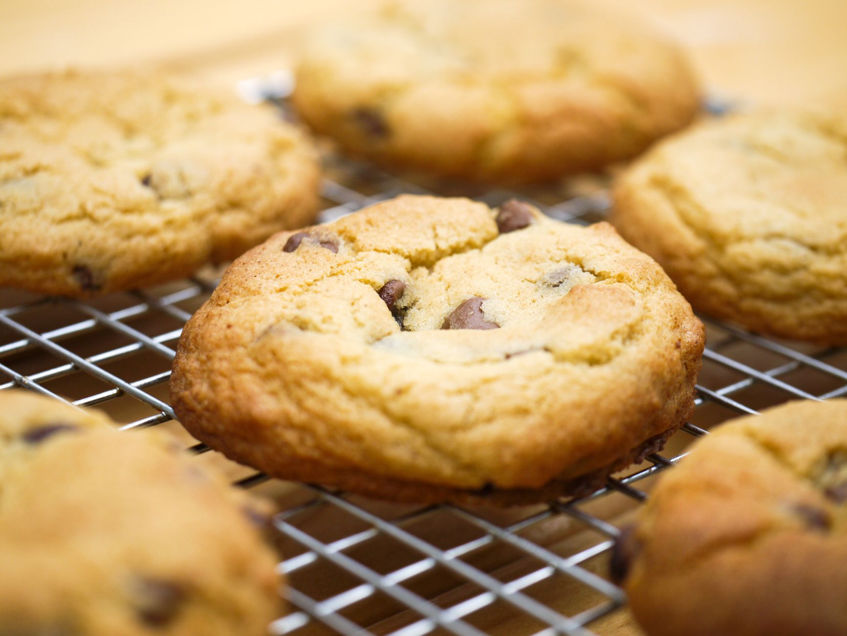 close up shot of chocolate chip cookies